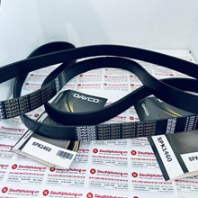 Dây curoa 8PK1460, Dây curoa Dayco