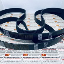 Dây curoa 8PK1550, Dây curoa Dayco