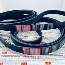 Dây curoa Dongil 7PK 2842