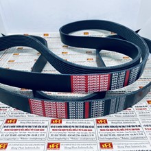 Dây curoa 8PK1500, Dây curoa Dongil