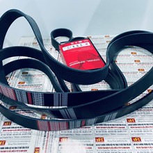 Dây curoa Dongil 8PK 1360