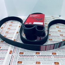 Dây curoa Dongil 8PK 1365