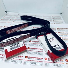 Dây curoa máy phát 4PK 925, Dây curoa Gates