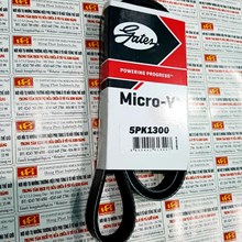 Dây curoa máy phát 5PK 1300, Dây curoa Gates