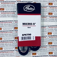 Dây curoa máy phát 5PK 790, Dây curoa Gates