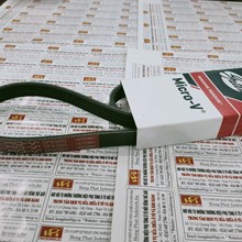 Dây curoa máy phát 5PK 980, Dây curoa Gates