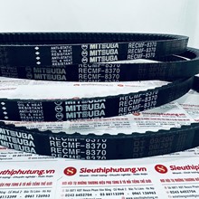 Dây curoa Mitsuba B-37 RECMF 8370