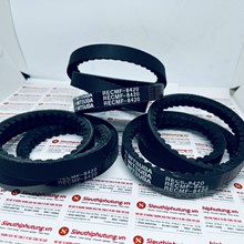 Dây curoa Mitsuba RECMF 8640