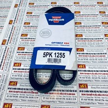 Dây curoa tổng Hyundai I10 3 máy, 5PK1255
