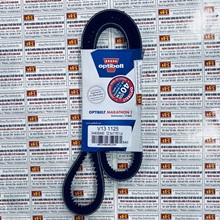 Dây curoa máy phát Mitsubishi Fuso Canter 2.7 D, Optibelt V13 1125