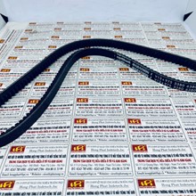 Dây curoa điều hòa Ford Ranger XLT, Optibelt V13 975