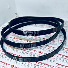Dây curoa 5PK787, Dây curoa Pix