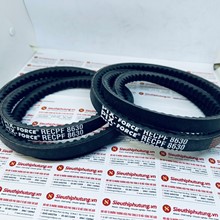 Dây curoa B63 RECPF-8630, Dây curoa Pix Ấn Độ