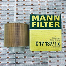 Lọc gió động cơ Audi A6 2.8, Mann Filter C 17 137/1 x