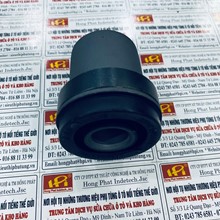 Cao su càng A dưới to Ford Everest 2010