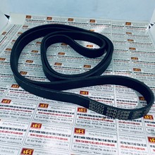 Dây curoa tổng Isuzu Trooper 3.2, 8971305600