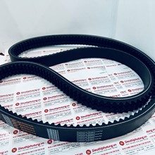 Dây curoa Xe Khách Tracomeco 47c, S-Betl 2BX81