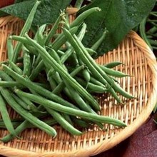 Đậu cô ve mộc châu sơn la, Nông sản sạch sơn la